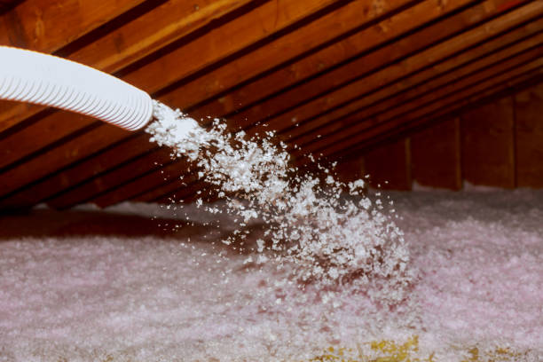 Best Insulation for New Construction  in Strafford, MO