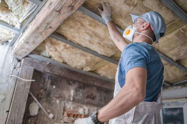 Best Insulation Contractor Near Me  in Strafford, MO