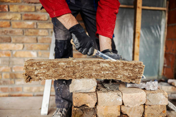 Best Blown-in Insulation  in Strafford, MO