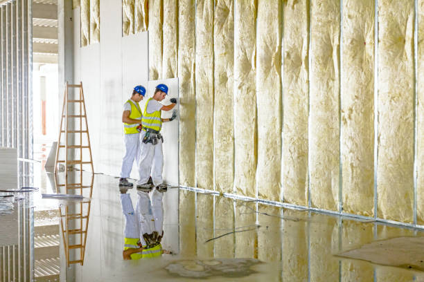 Best Spray Foam Insulation  in Strafford, MO